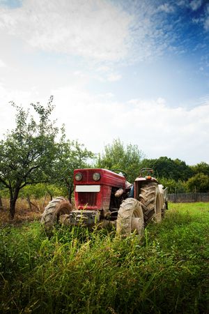 Red tractor in grass in an orchardの写真素材