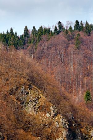 Landscape with forest on a mountain in autumn colorsの写真素材