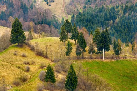 Beautiful moody landscape with mountains and pine trees