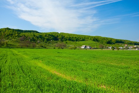 Vibrant landscape with a wheat field at sunsetの写真素材