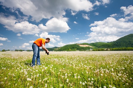 Caucasian photographer taking pictures of the dandelions in a sunny dayの写真素材