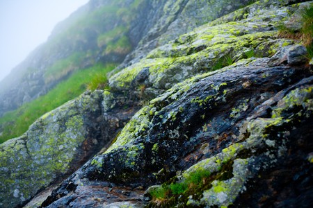 Rocks on a mountain with grass growing between themの写真素材