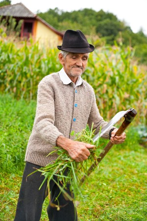 Senior farmer using scythe to mow the lawn traditionallyの写真素材