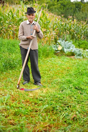 Senior farmer using scythe to mow the lawn traditionallyの写真素材
