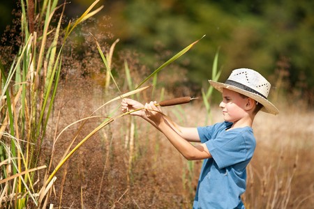 Cute boy with straw hat playing with bulrush outdoorの写真素材