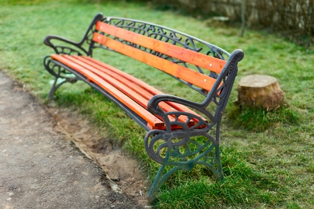 Empty bench in the park, on the green grassの写真素材