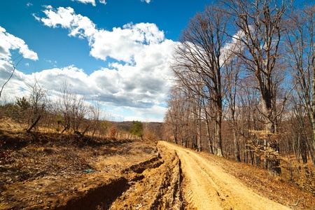 Rural landscape with a road and sky with fluffy cloudsの写真素材