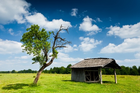 Landscape with a wooden cabin or shack and a tree nearbyの写真素材