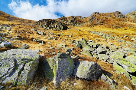 Landscape of Parang mountains in Romania, with huge fields of scree (talus)