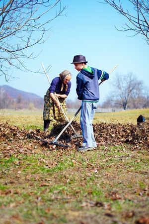 Grandmother and grandson spring cleaning the walnut orchard with rakesの写真素材