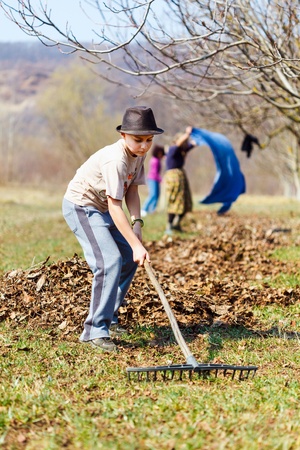 Grandmother and grandson spring cleaning the walnut orchard with rakesの写真素材