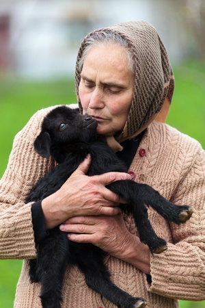 Closeup portrait of a senior woman holding a baby goat outdoorの写真素材