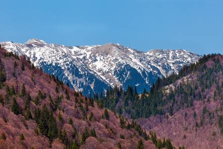 Landscape with mountains in the summer