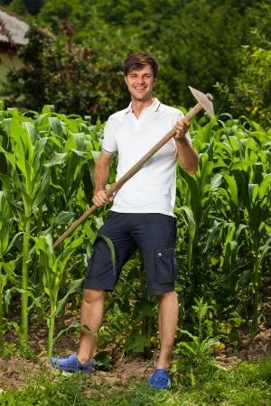 Sweating working young farmer with a hoe near a corn fieldの写真素材
