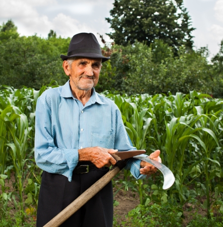 Senior farmer sharpening his scythe with a corn field and a forest in the backgroundの写真素材