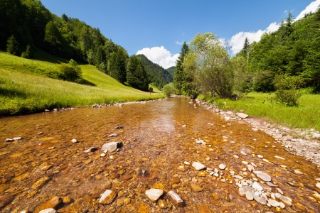 Landscape with a creek and forest near the mountainsの写真素材