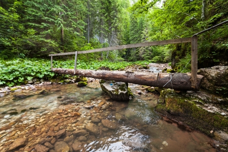 Wooden bridge across a creek in the forestの写真素材