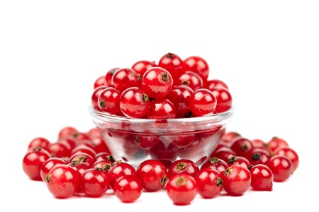Macro of red currant berries on white background