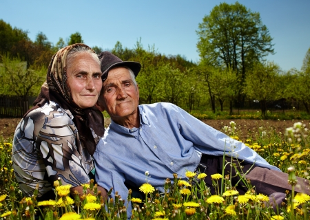 Portrait of an old couple sitting in a dandelion fieldの写真素材