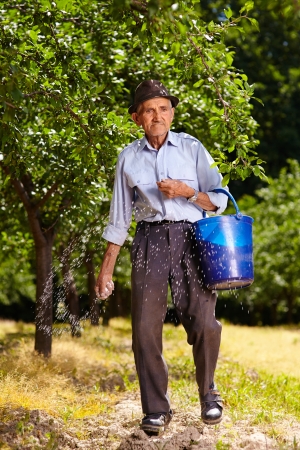 Senior farmer doing seasonal work, spreading fertilizer in a plum trees orchardの写真素材
