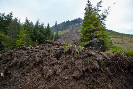 Big landslide in the mountains due to deforestation