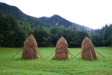 Hay stacks on a meadow near the forest in the countrysideの写真素材