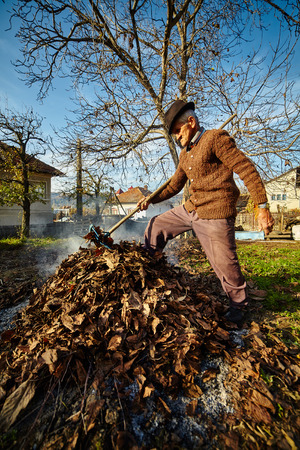 Senior farmer cleaning his garden of fallen leaves, burning them in a pileの写真素材