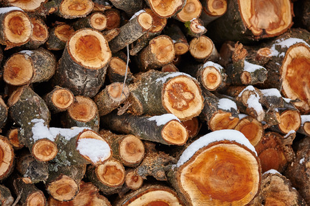 Closeup of a stack of firewood covered by snow
