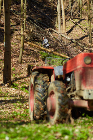 Senior farmers using a logging tractor to bring down cut trees in a forestの写真素材