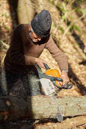 Senior caucasian man woodcutter cutting down trees with chainsawの写真素材