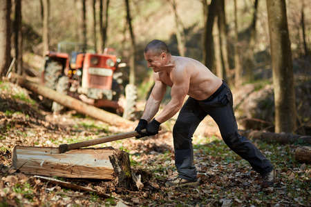 Strong caucasian shirtless woodcutter splitting wood in the forest with an axの写真素材