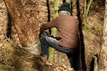 Senior caucasian man woodcutter cutting down trees with chainsawの写真素材