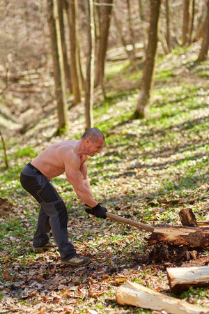 Strong caucasian shirtless woodcutter splitting wood in the forest with an axの写真素材