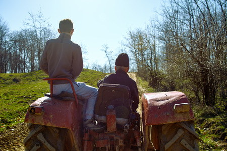 Rear view of a senior farmer and his grandson driving a tractor on a hill at sunsetの写真素材