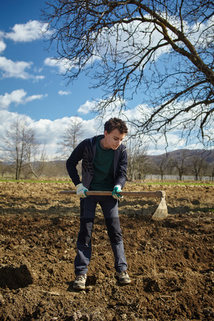 Teenager boy covering the rows of cultivated potatoesの写真素材