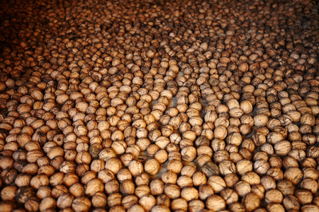Closeup of a pile of walnuts arranged for drying