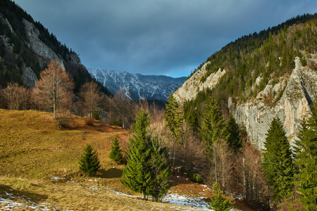 Landscape with a mountain covered in pine forestsの写真素材