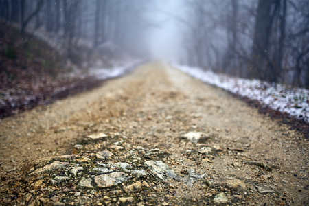 Landscape with a road through the forest in a misty day, early springの写真素材