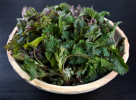 Closeup of a wooden bowl with stinging nettles freshly pickedの写真素材