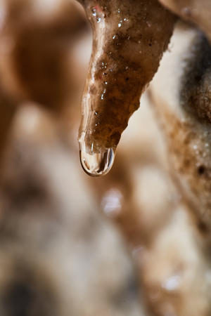 Closeup of cave curtain formations dripping waterの写真素材