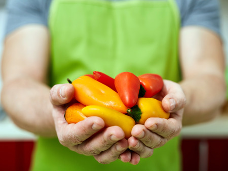 Cook holding small colorful baby peppers in the kitchenの写真素材