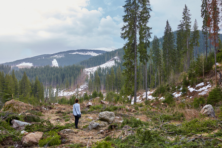 Woman tourist witnessing a desolated landscape of forests being cut downの写真素材
