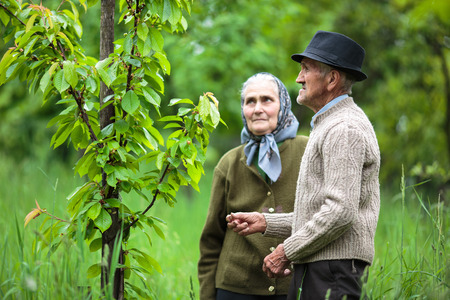 Old farmers couple looking at the trees in their orchardの写真素材