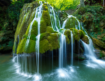 Landscape with a waterfall in a lush forestの写真素材