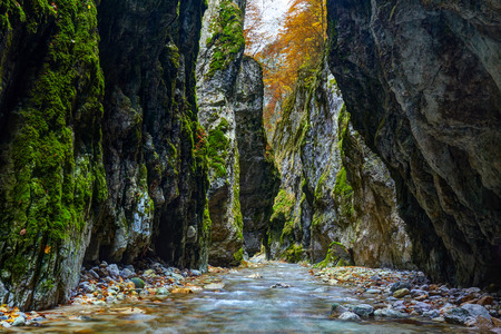 Landscape with a river flowing through a limestone canyon with mossy wallsの写真素材