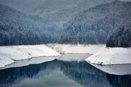 Mountain lake surrounded by pine forests in the winterの写真素材