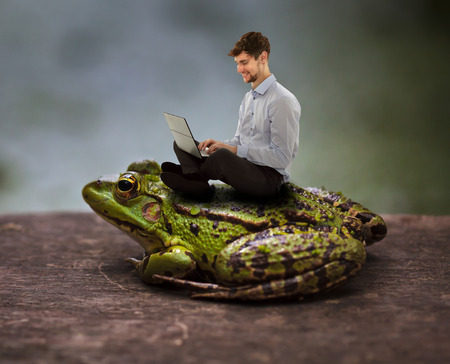 Businessman sitting on a frog and working on laptop, unconventional conceptの写真素材