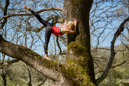 Young woman doing yoga exercises in a forest of chestnut and oak treesの写真素材
