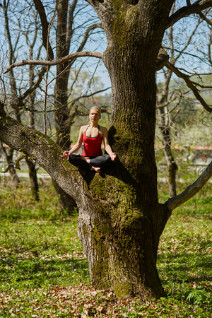 Young woman doing yoga exercises in a forest of chestnut and oak treesの写真素材
