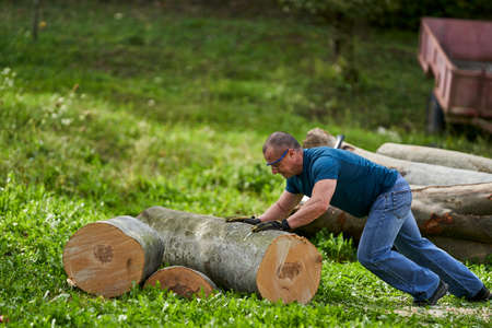 Strong lumberjack pushing and pulling logs to prop them for sawing